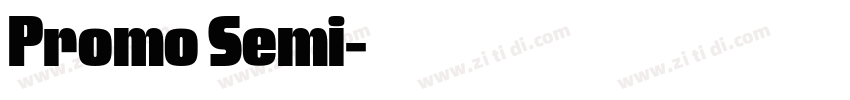 Promo Semi字体转换